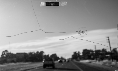 Steinschlag auf der Autobahn – warum kleine Schäden schnell größer werden