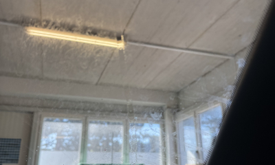 Warum läuft Wasser ins Auto – liegt es wirklich an der Windschutzscheibe?